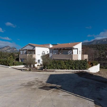 Le Clos D'Oletta المظهر الخارجي الصورة